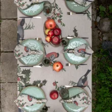 3002SU-WB Linoroom Napkins Winter Bullfinch WEB 16